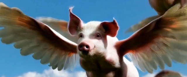 Что может Sora от OpenAI: крылатые свиньи, шароголовые люди и не только