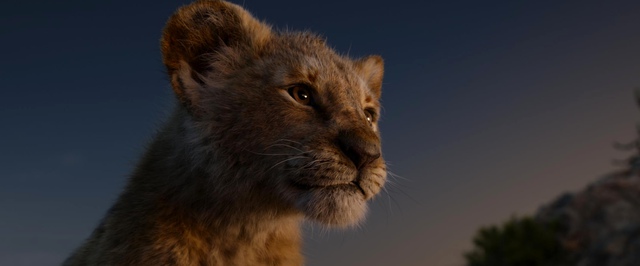 Первый кадр «Муфаса: Король лев» с маленьким Муфасой
