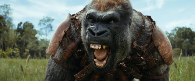 «Планета обезьян: Королевство» стартует на уровне первого и третьего фильмов франшизы в США