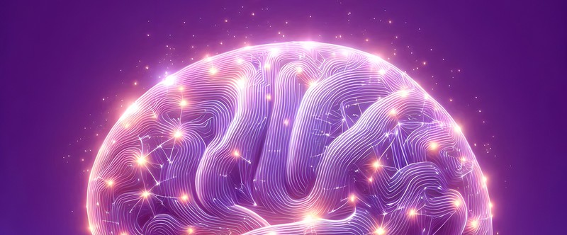 СМИ: Neuralink разрешили вторую имплантацию чипа с улучшенной технологией
