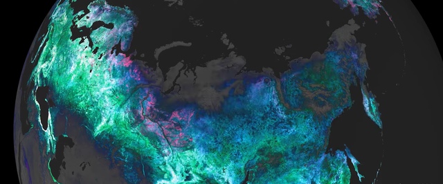 Жизненные циклы растений рассмотрели из космоса