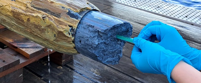 Микроорганизмы, живущие в щелочи грязевых вулканов, нашли на дне Тихого океана