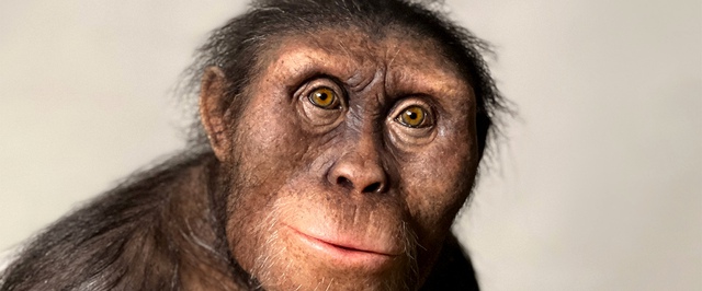 Исследование: отравление свинцом — «изобретение» не людей, а наших далеких предков