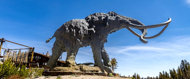 Самую древнюю в мире РНК извлекли из ноги якутского мамонта