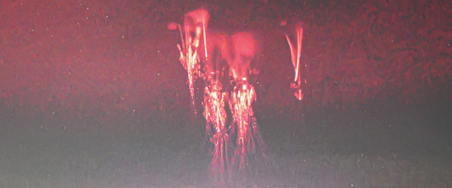 Как в «Дне независимости»: над Италией засняли редчайшее атмосферное явление