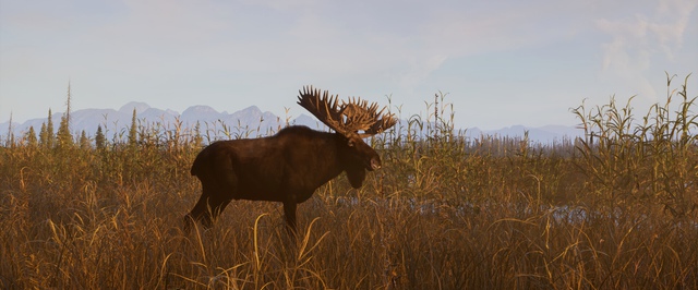 Охота продолжается: анонсирован Next Hunting Adventure от авторов Way of the Hunter