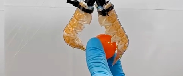 Панцири мертвых лангустов превратили в манипуляторы