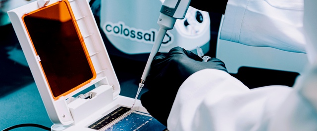 Colossal Biosciences займется созданием современного Ноева ковчега