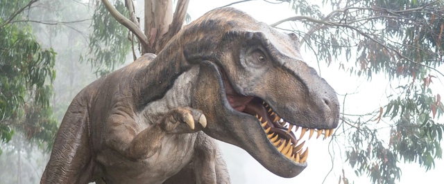 Завроподы снабжали едой большинство хищников юрского периода — исследование
