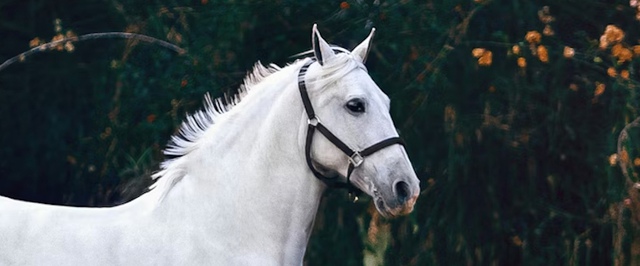 2500 лет назад сибирской женщине сделали примитивный протез и провели сложную операцию