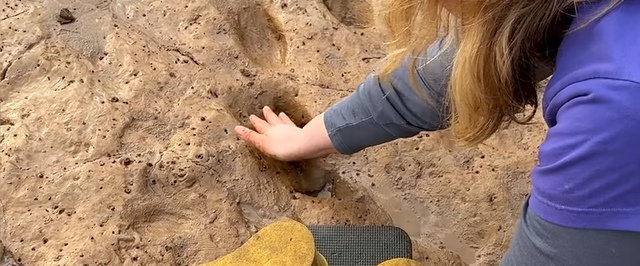 В Шотландии нашли следы древних людей — и их смыл прилив