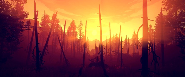 Новая глава Xbox хочет делать игры в духе Firewatch и слушать сообщество