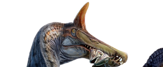 В Сахаре нашли «единорога» — необычного спинозавра