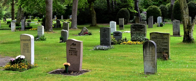 Расхитителей могил изобличили с помощью кладбищенского мха