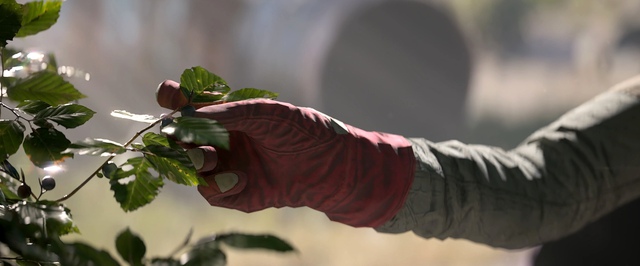 ИИ-озвучку в ARC Raiders начали менять на живую