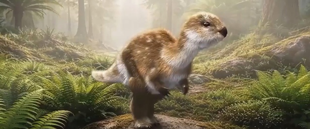 Первого «корейского» динозавра назвали в честь мультяшного ящера — они оба очень милые