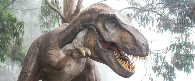 Фото: сумка из восстановленной кожи тираннозавра