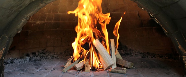 Население Земли стоит уменьшить в несколько раз — исследование