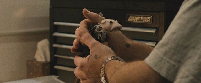 Для «Гарри Поттера» сделали аниматронных червей и роботов-крыс, кусающих за пальцы