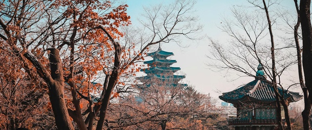 Бесплатный доступ в интернет появится у всех жителей Южной Кореи