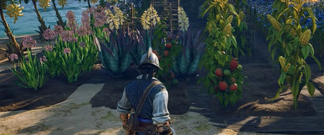 Грядки в Windrose: где найти плодородную почву и как сажать семена