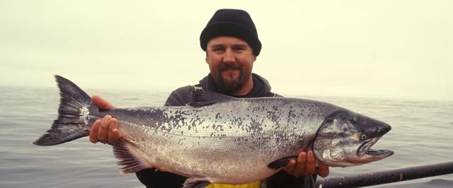 Ученые накачали лососей кокаином — посмотреть, что будет