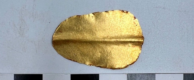 Пару тысяч лет назад кто-то запихнул в мумию кусок «Илиады» Гомера и золотой язык