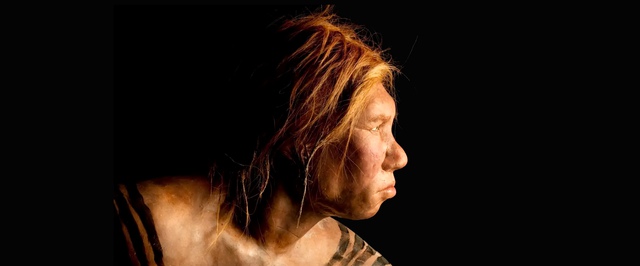 Неандертальские младенцы развивались быстрее детей Homo sapiens — исследование