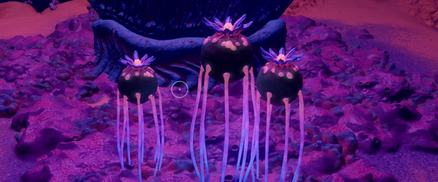 Циста некролеи в Subnautica 2: где найти
