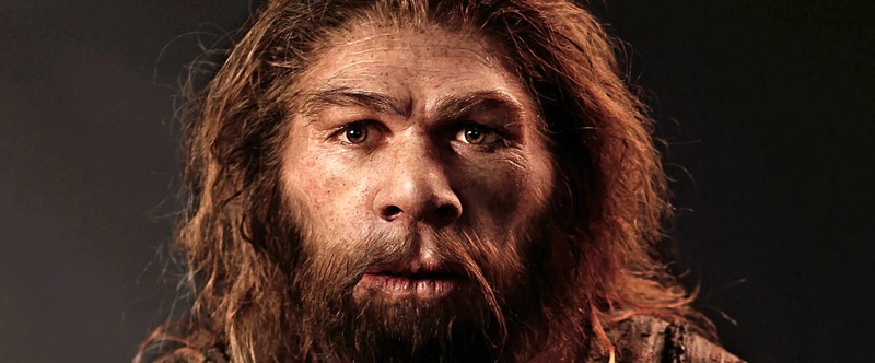 В турецкой пещерке нашли следы общей культуры неандертальцев и Homo sapiens