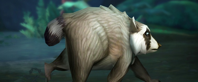 Укороченный енот Джимоти появится в World of Warcraft
