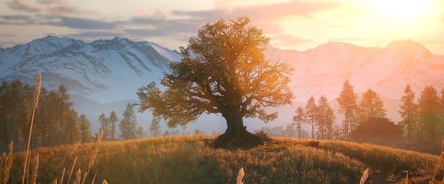 Как в The Blood of Dawnwalker работает система времени
