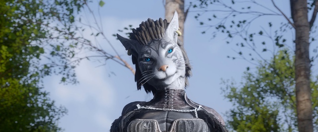 Спутники в Skyrim научились выпивать в тавернах и ходить красивой толпой