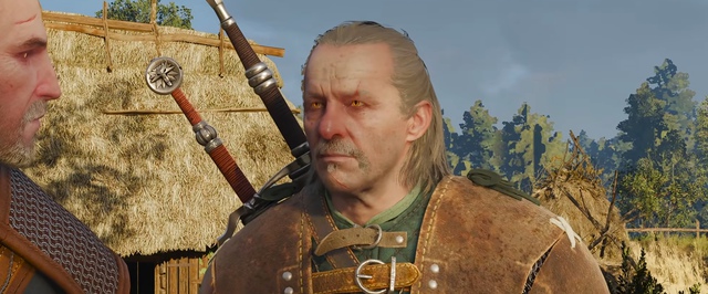 Полный список официальных читов в ремастере The Witcher 3