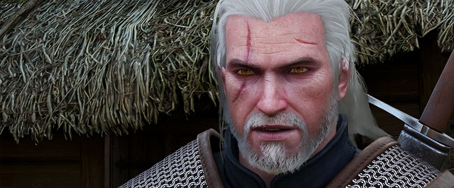 Времена меняются, но голуби в ремастере The Witcher 3 все такие же убогие